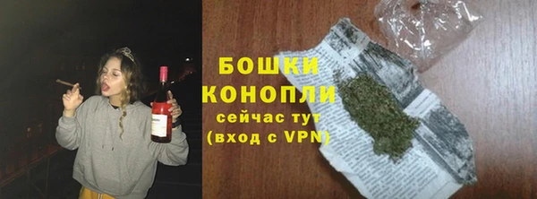 хмурый Александровское