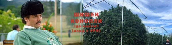 каннабис Кущёвская