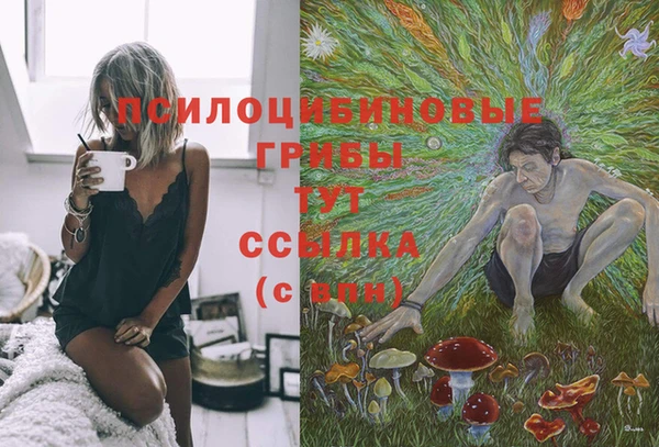 spice Кукмор