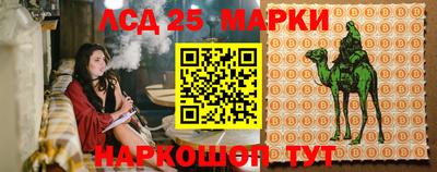 a pvp Гусиноозёрск