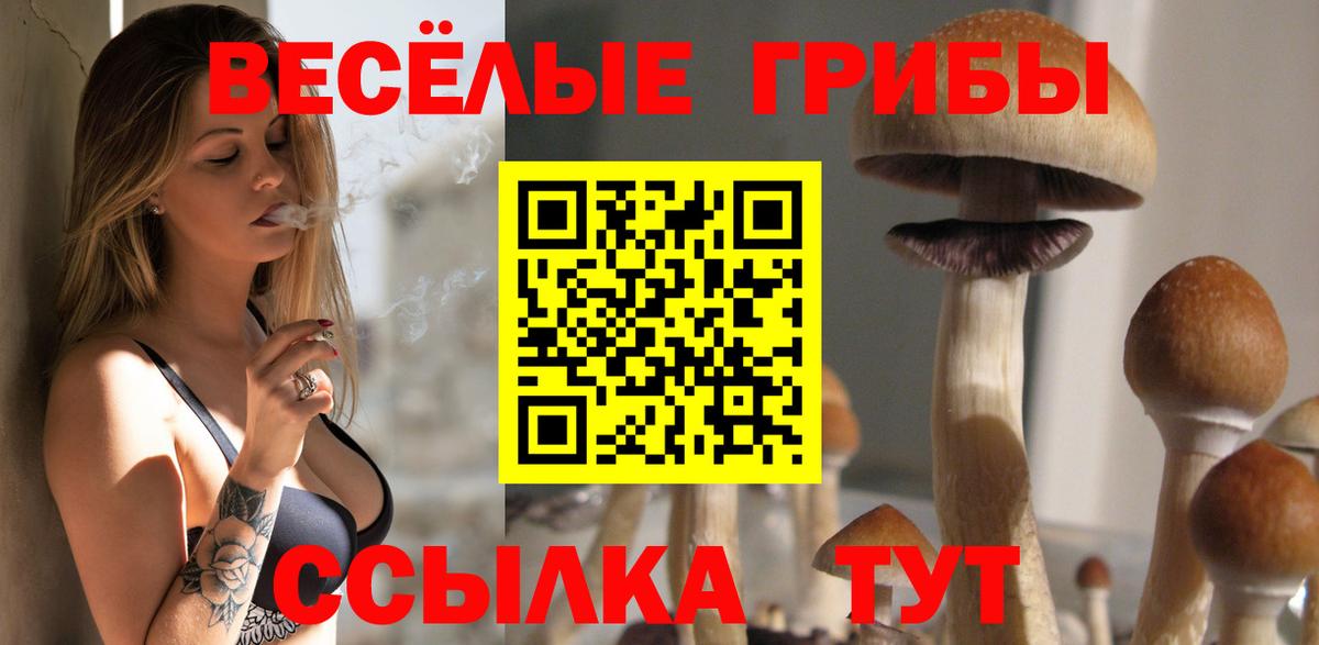 Мегион  Галлюциногенные грибы MAGIC MUSHROOMS  Вход с VPN  Галлюциногенные грибы Psilocybe 